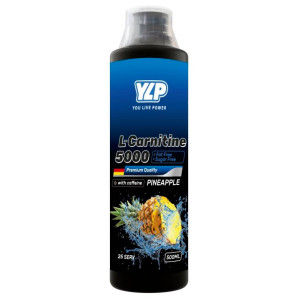 YLP, L-Carnitine + Caffeine 5000 мг, 500 мл (20 порций)