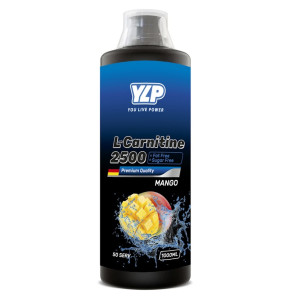 YLP, L-Carnitine, 1000 мл (50 порций)